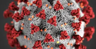 TESTE DE ANTÍGENO COVID-19 PARA VIAJANTES EM AREQUIPA